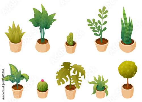 isometric set of house plants in pots, vector illustration