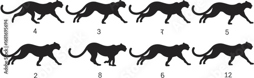 Cheetah running silhouette sequence, animal motion study, wildlife sprint phases, dynamic feline stride, black vector illustration, animation reference, biomechanics