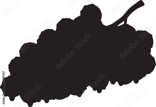 Dramatic silhouette of a juicy grape bunch against a stark white background representing natural food and agricultural bounty and highlighting the simplicity of healthy eating