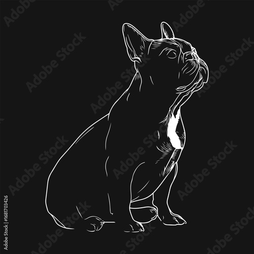Animal Dog Greeting Icon Flat Art Symbol, Wild Lover Best Friend Gift Bulldog Design Set Vector Design