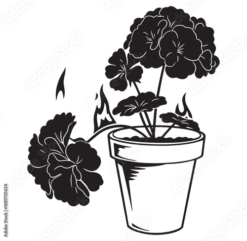 Elegant monochrome illustration of a geranium plant in a decorative flower pot