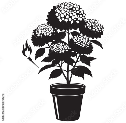 Elegant silhouette illustration of hydrangea plant in a pot with a flaming torch detail