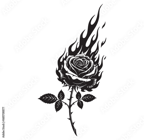 Intricate black and white illustration of a rose blooming in a fiery eruption on white background