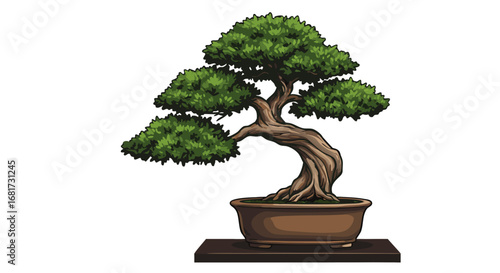 Bonsai tree on table. Bonsai tree in a ceramic pot with lush green foliage  