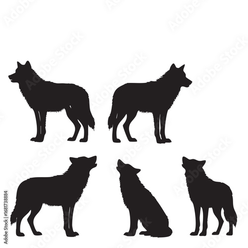 Silhouette collection of five wild wolves standing and howling demonstrating nature and wildlife silhouette