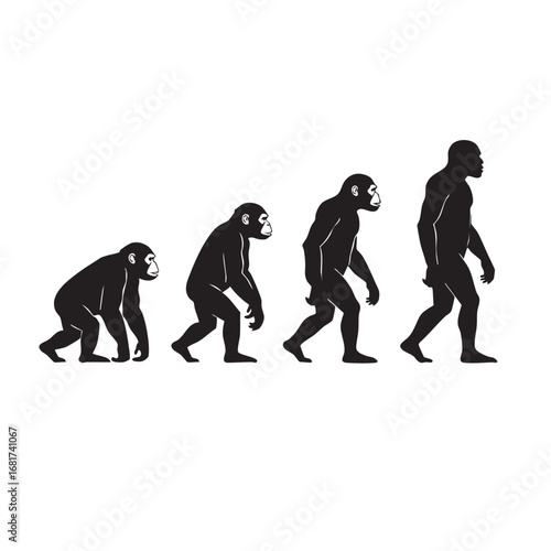 Human evolution sequence from primate to modern man silhouette symbolizing progress and development silhouette