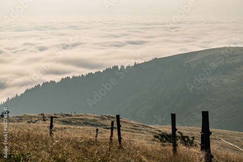 Misty Mountain Meadows, of the Fence
