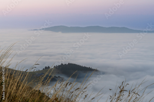 Misty Mountains, From the Grass