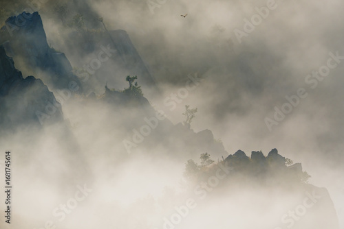 Misty Mountain Majestic Shadows in the Fog