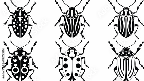Illustration of six beetles with different patterns in black and white color scheme graphic design created with generated ai