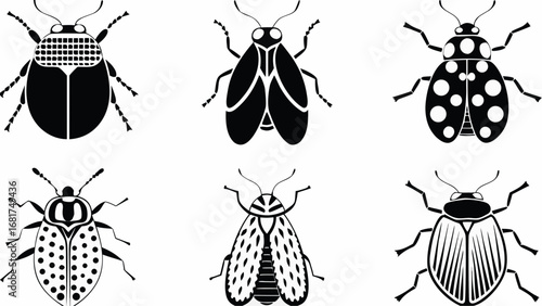 Illustration of six black and white insect designs with varying patterns and wing shapes displayed together created with generated ai