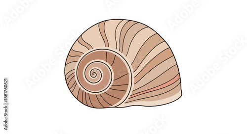 Vector illustration of a brown spiral shell, organic design, nature's beauty, spiritual decor element, Hindu Navaratri festival asset
