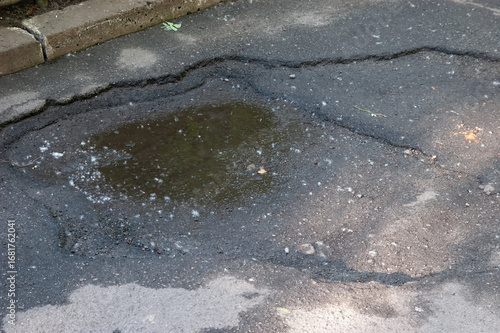A small pothole in asphalt with a puddle at the bottom, surrounded and covered with poplar fluff.