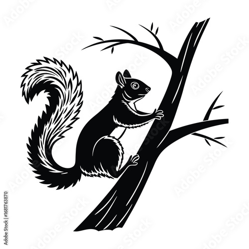 Print Squirrel on Tree – Black and White Silhouette Vector