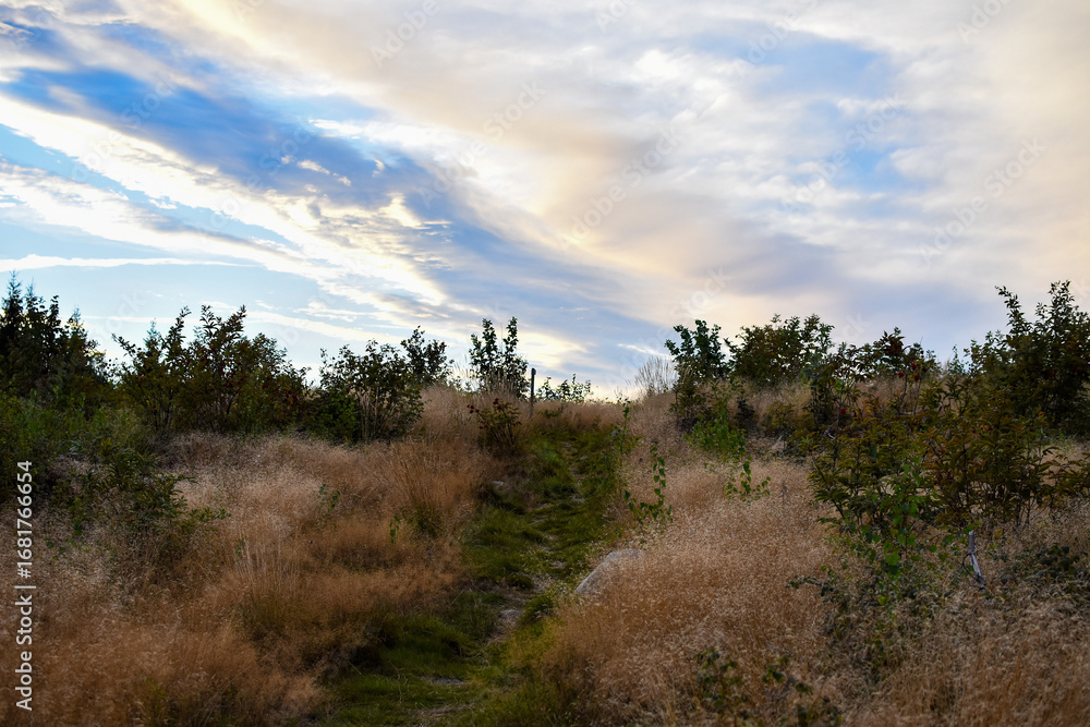 Obraz premium Clouds over a path in nature