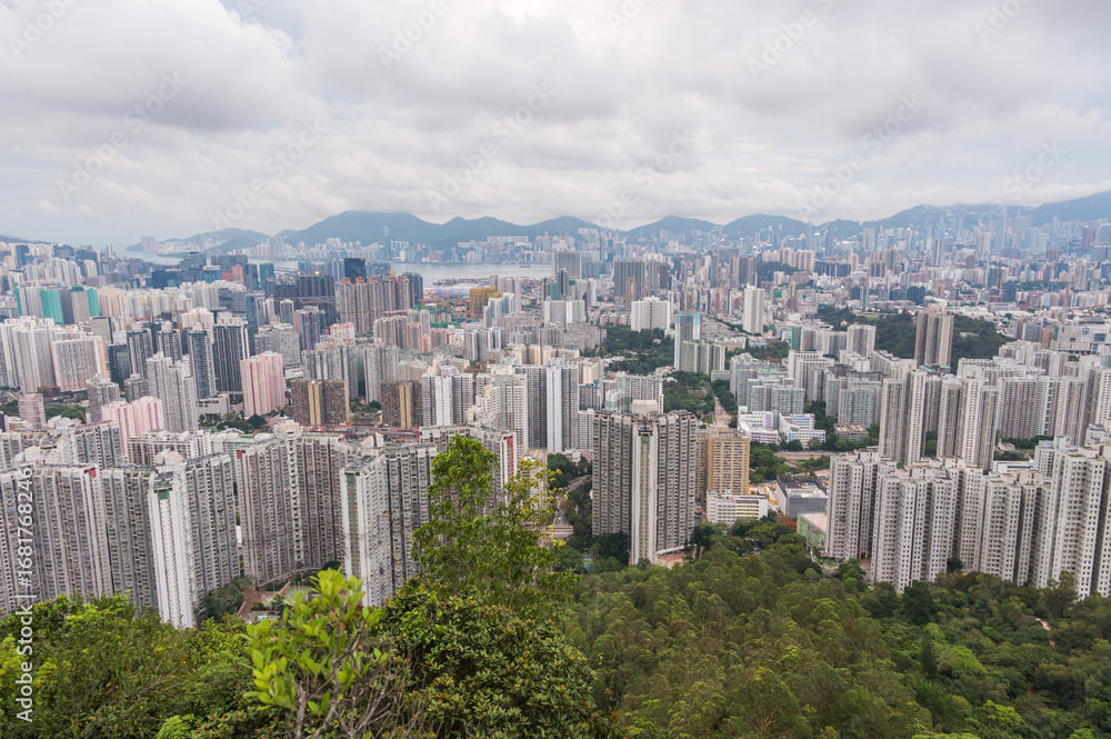 Fototapeta premium View of Hong Kong and Kowloon from Lion Rock Head. Panorama of Hong Kong, skyscrapers and nature.