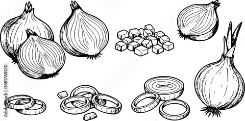 set of Onion Icon Set. Outline icon set of onion parts and forms: whole onion, sliced onion, chopped onion, onion rings, onion bulb,
