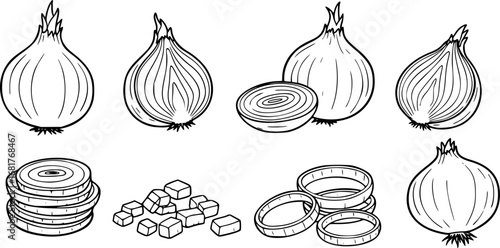 set of Onion Icon Set. Outline icon set of onion parts and forms: whole onion, sliced onion, chopped onion, onion rings, onion bulb,
