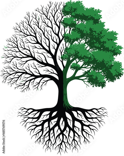 Vector Silhouette of a Leafless Tree Transforming into a Lush, Green Tree - Symbol of Regrowth