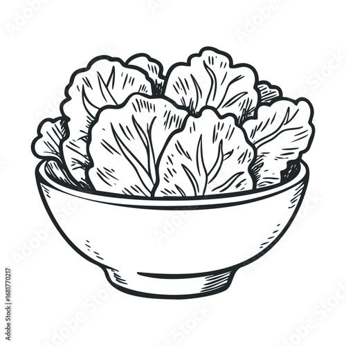 Fresh salad bowl filled with green lettuce for healthy eating. Vector illustration