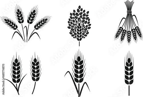 Black silhouette wheat stalks set, agricultural harvest symbols, grain plant designs, farming, cereal crop, nature, food, organic, rural, botanical
