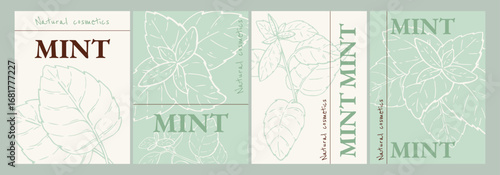 Mint vertical emblem design templates set. Natural cosmetics ingredient. Hand drawn ink sketch plant from package design. Ecology concept in beauty industry.