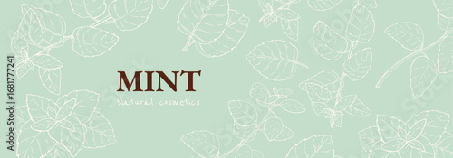 Mint vertical background design template. Natural cosmetics ingredient. Hand drawn ink sketch plant from package design. Ecology concept in beauty industry. 