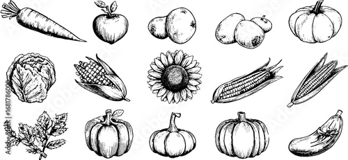 Hand drawn doodle icons set of vegetables and fruits for design and decor projects