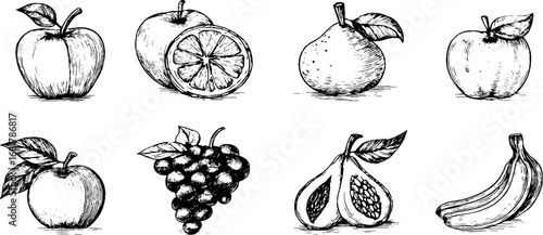 Hand drawn doodle set of fruit icons featuring apple, pear, banana, and more
