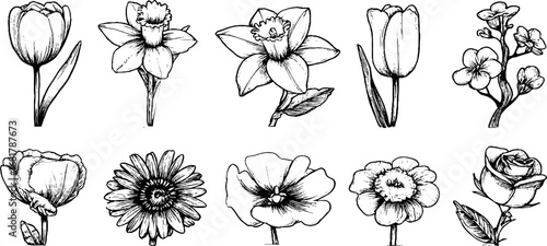 Hand drawn doodle icons of spring flowers and tulips for design and decoration