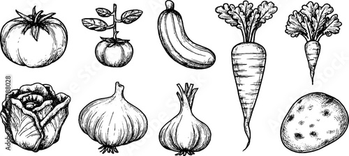 Hand-drawn doodle icons of tomato, plant, cucumber, and vegetables set