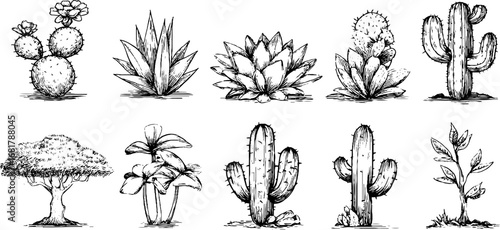 Hand drawn doodle icons set of trees and cacti for botanical design and decoration