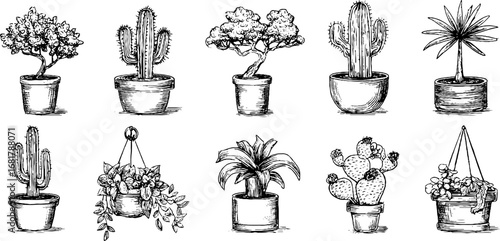 Hand drawn doodle icons set of potted trees, cacti, and shrubs for creative design