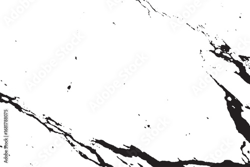 Abstract Black Ink Splatter on White Background