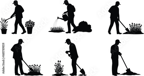 Silhouette vector illustration of gardeners working with plants, watering, digging, and cultivating in garden or backyard landscaping scenes.