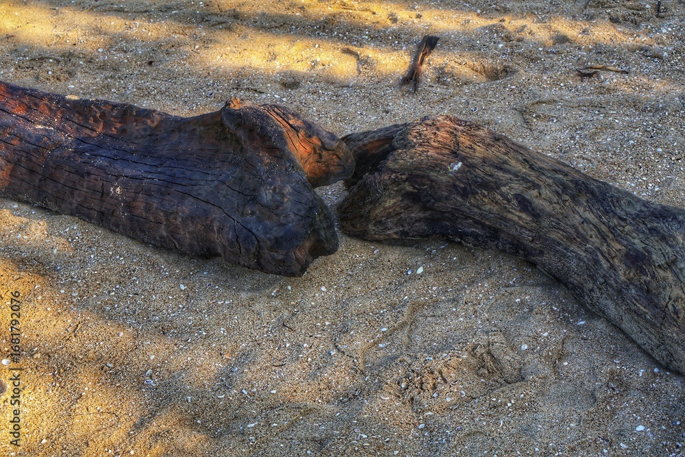 Obraz premium stone in the sand