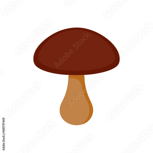 mushroom on white background