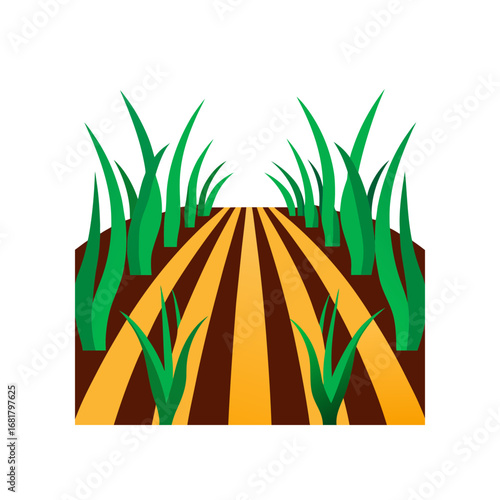 this image depicts a vast field of vibrant green o
