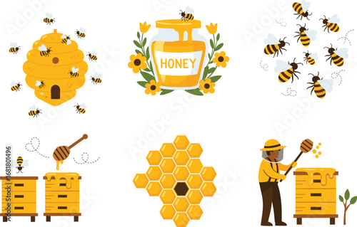 Honeybee vector illustrations, beekeeping process, honey jar with flowers, bee hive and honeycomb, beekeeper harvesting honey, pollination and nature vector art