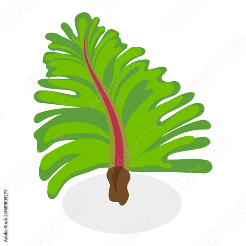 3D Isometric Flat Vector Set of Seaweeds, Marine Algae Collection. A set of various types of seaweed gathered from the ocean, perfect for showcasing the beauty of underwater flora.. Item 6