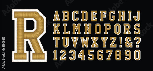 Classic college font. Vintage sport serif font in american style for football, soccer, baseball and basketball. Alphabet and numbers with outline in varsity style
