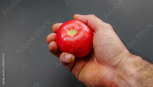 Fresh tomato held in a hand against a plain background highlighting its vibrant color and smooth texture