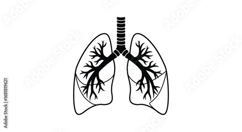 Human lungs with trachea and bronchi illustrated in black and white silhouette