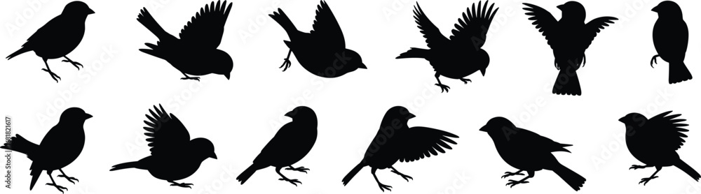 Obraz premium Silhouette, bird, flying, standing, perching, landing, wings, tail, motion, posture, gesture, nature, wildlife, profile, activity, illustration, diversity, expression, shape, behavior