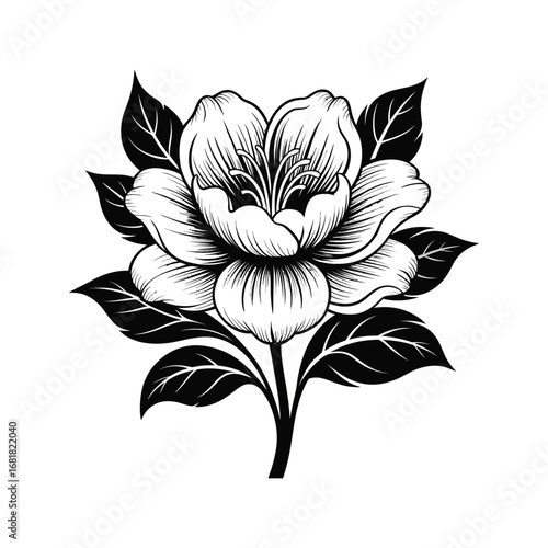 Elegant Floral Design: A sophisticated black and white illustration presents a single, exquisite bloom with intricately detailed petals and lush foliage, embodying timeless beauty and grace.