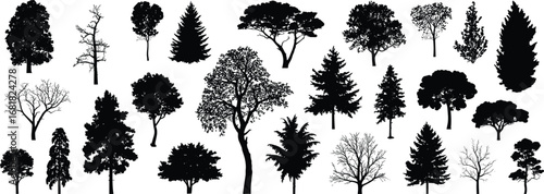 Tree silhouettes collection, deciduous and evergreen species, bare branches, leafy crowns, black vector illustration, botanical design, forest icons, isolated shapes