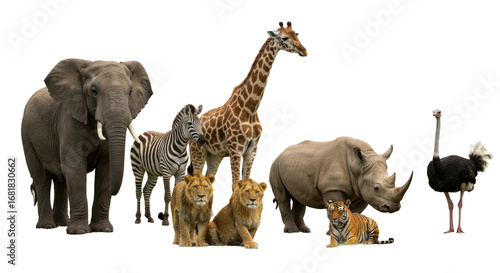 Majestic African wildlife (elephant, giraffe, zebra, lion, rhino, tiger, ostrich) stand peacefully in a lush green savanna under soft high-key light, concept of global biodiversity and peaceful