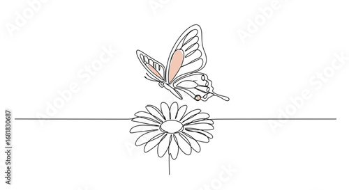 One line art of a butterfly with open wings, minimal abstract line drawing