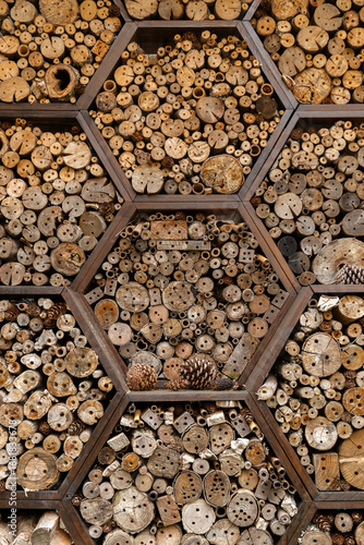 Foto de hotel para insectos con uso de polinizador en la naturaleza.