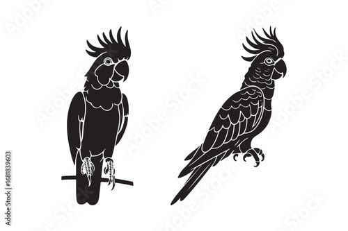 Two black silhouette cockatoos perched on branches